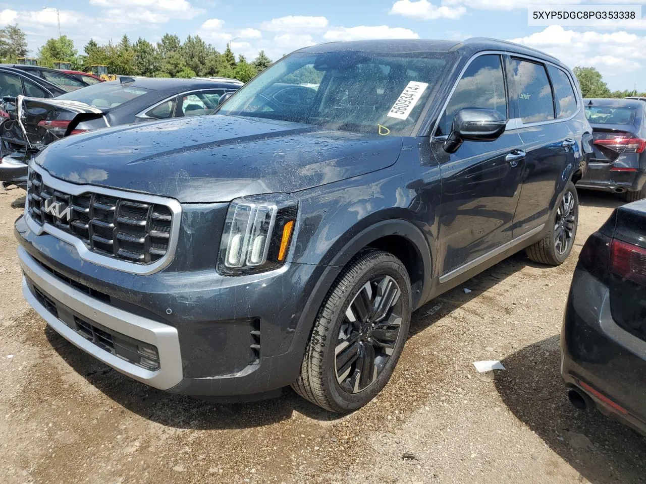 2023 Kia Telluride Sx VIN: 5XYP5DGC8PG353338 Lot: 56093414