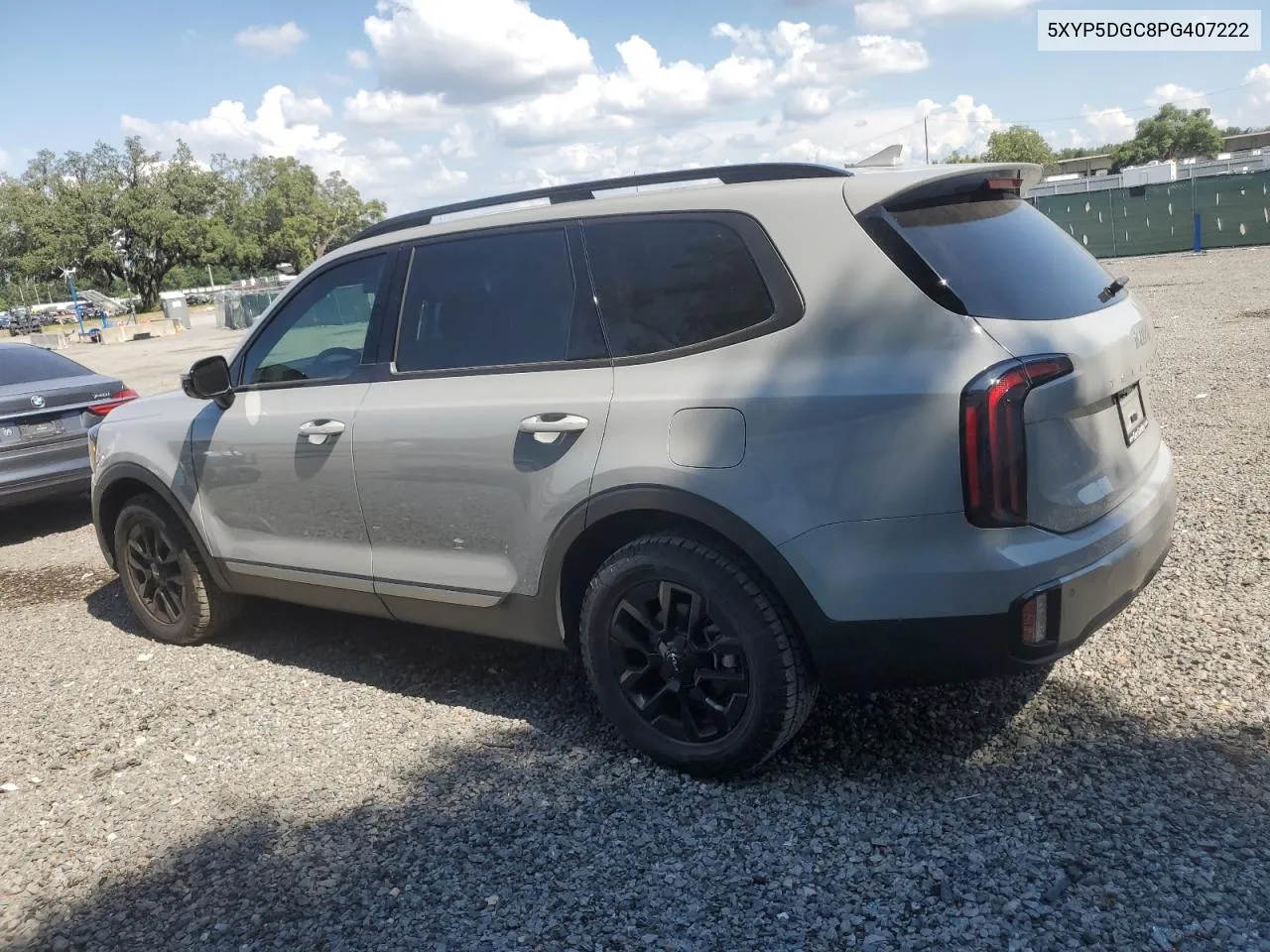 2023 Kia Telluride Sx VIN: 5XYP5DGC8PG407222 Lot: 58024664