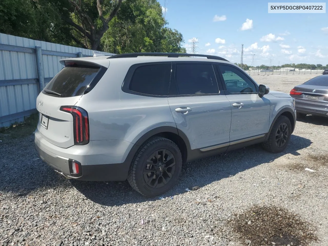 2023 Kia Telluride Sx VIN: 5XYP5DGC8PG407222 Lot: 58024664