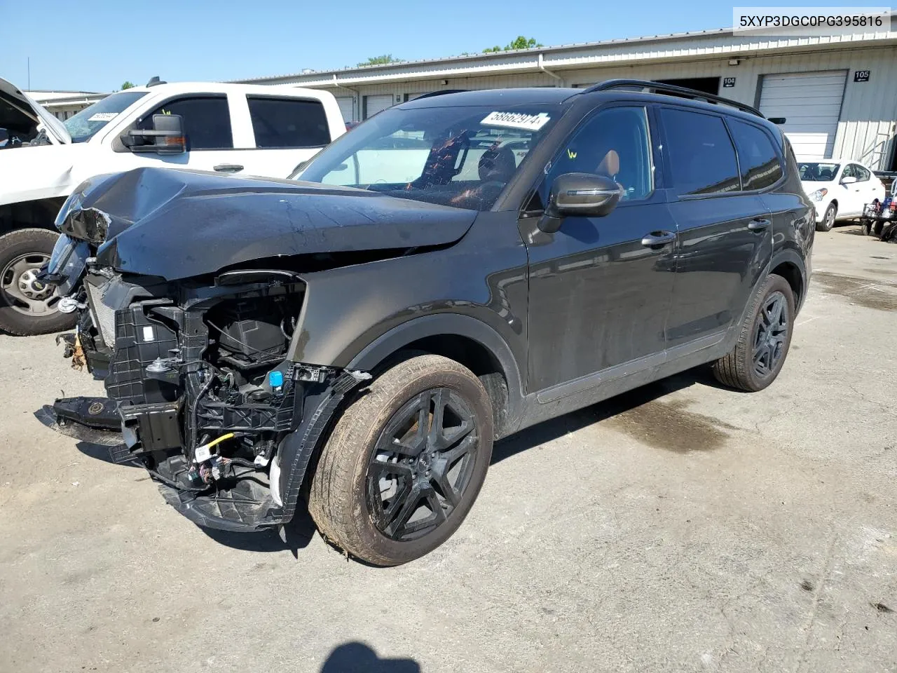 2023 Kia Telluride Ex VIN: 5XYP3DGC0PG395816 Lot: 58662974