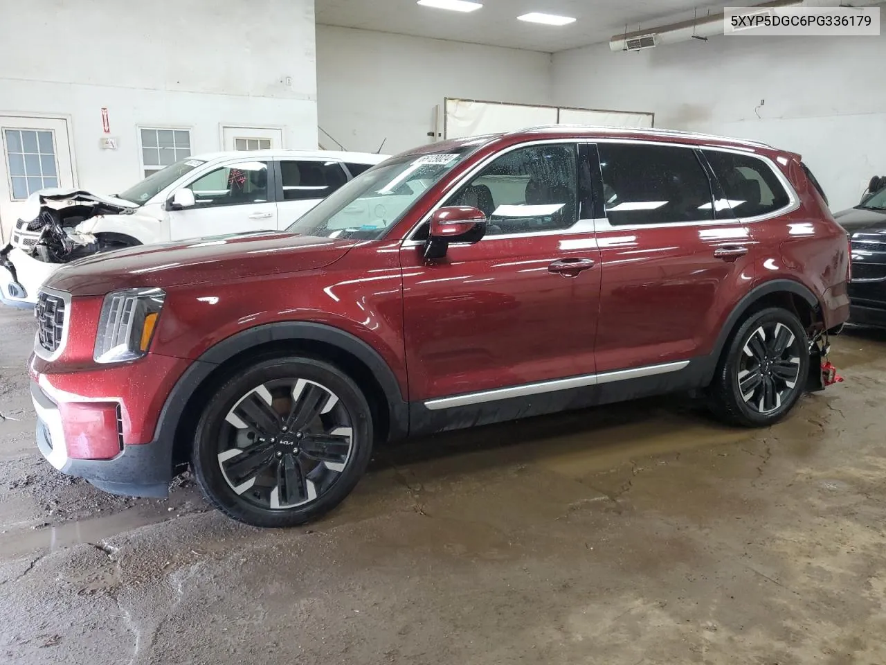 2023 Kia Telluride Sx VIN: 5XYP5DGC6PG336179 Lot: 65129024