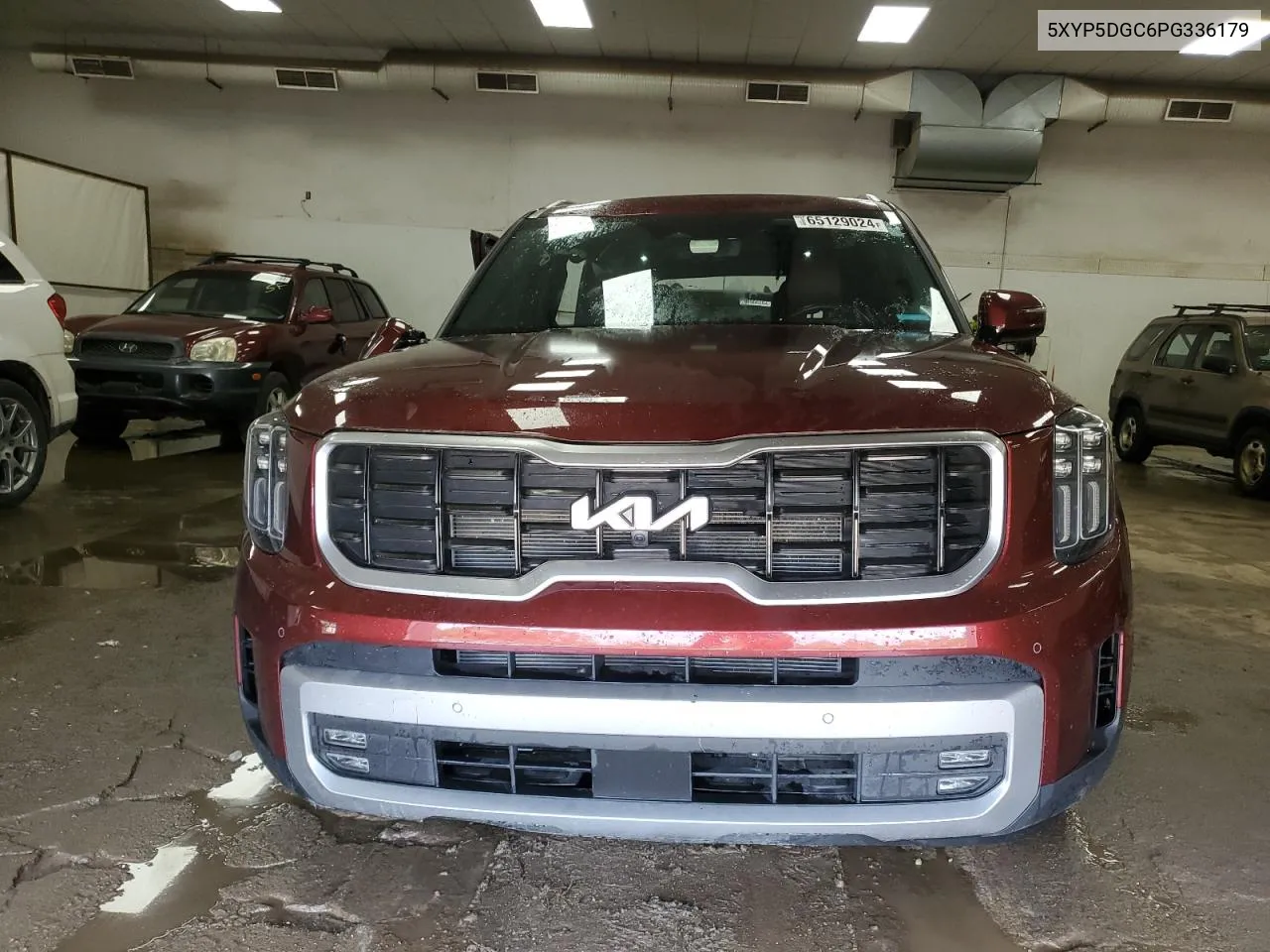 2023 Kia Telluride Sx VIN: 5XYP5DGC6PG336179 Lot: 65129024