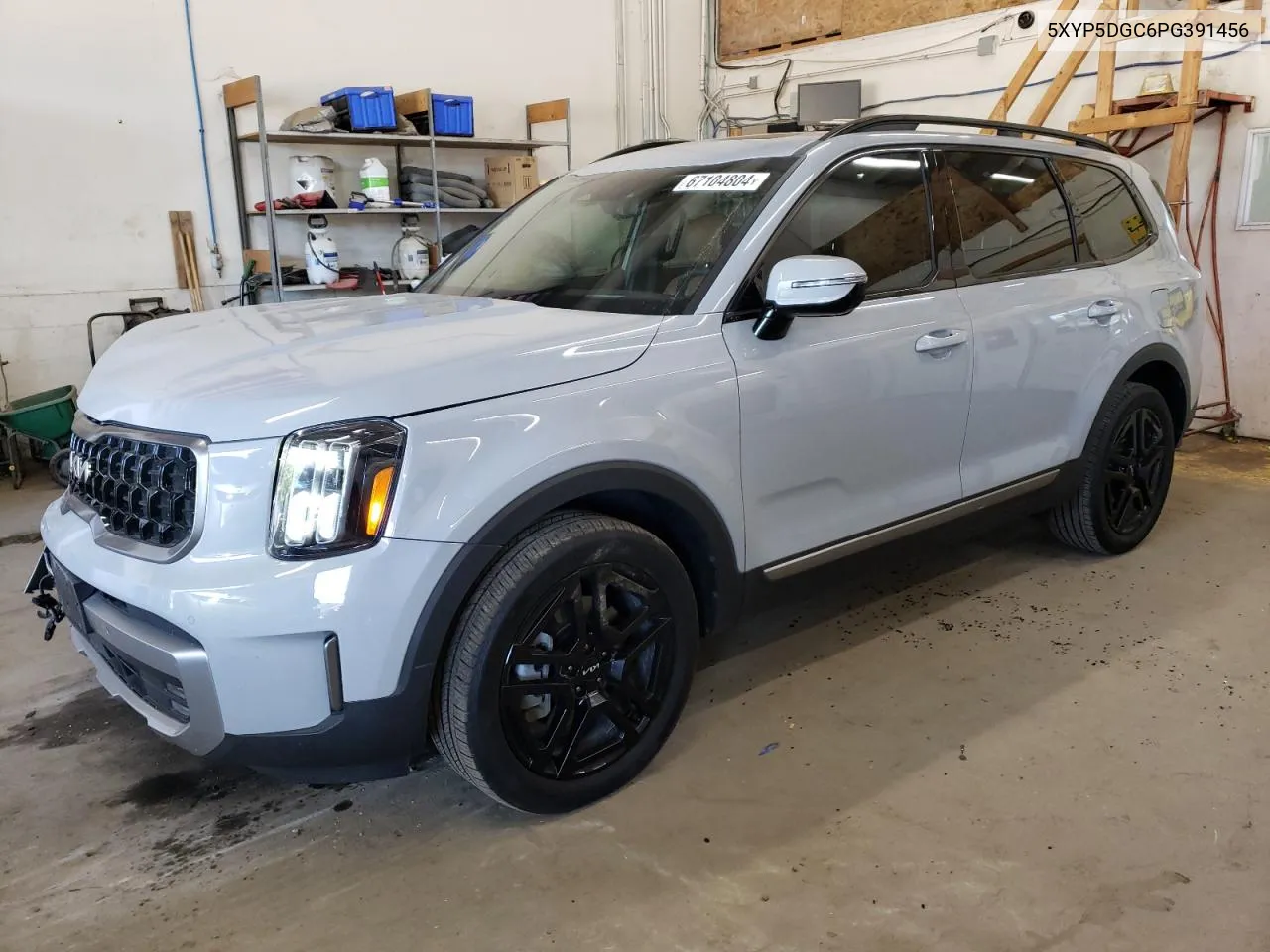 2023 Kia Telluride Sx VIN: 5XYP5DGC6PG391456 Lot: 67104804