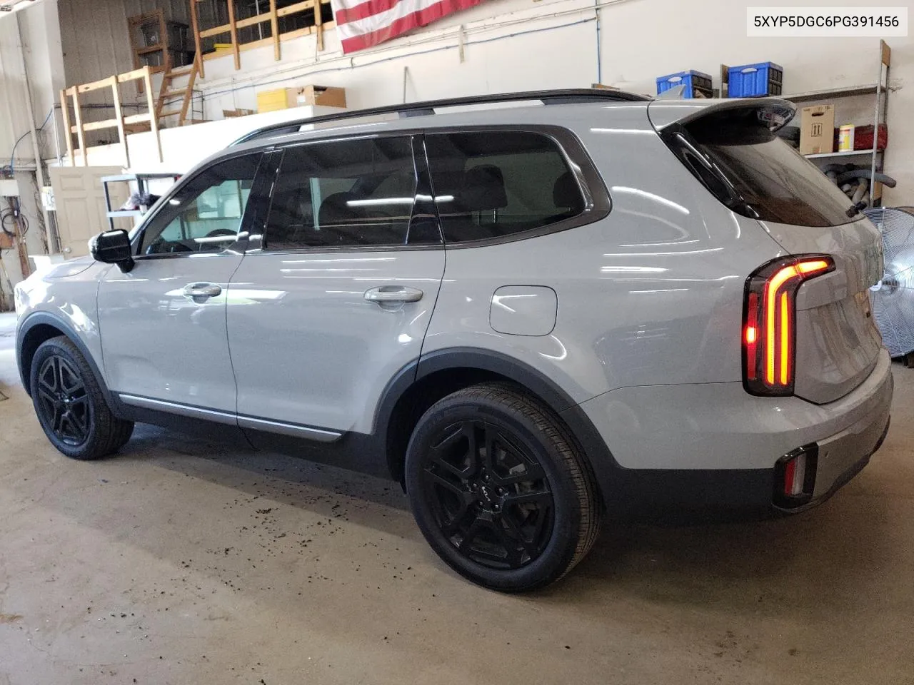 2023 Kia Telluride Sx VIN: 5XYP5DGC6PG391456 Lot: 67104804