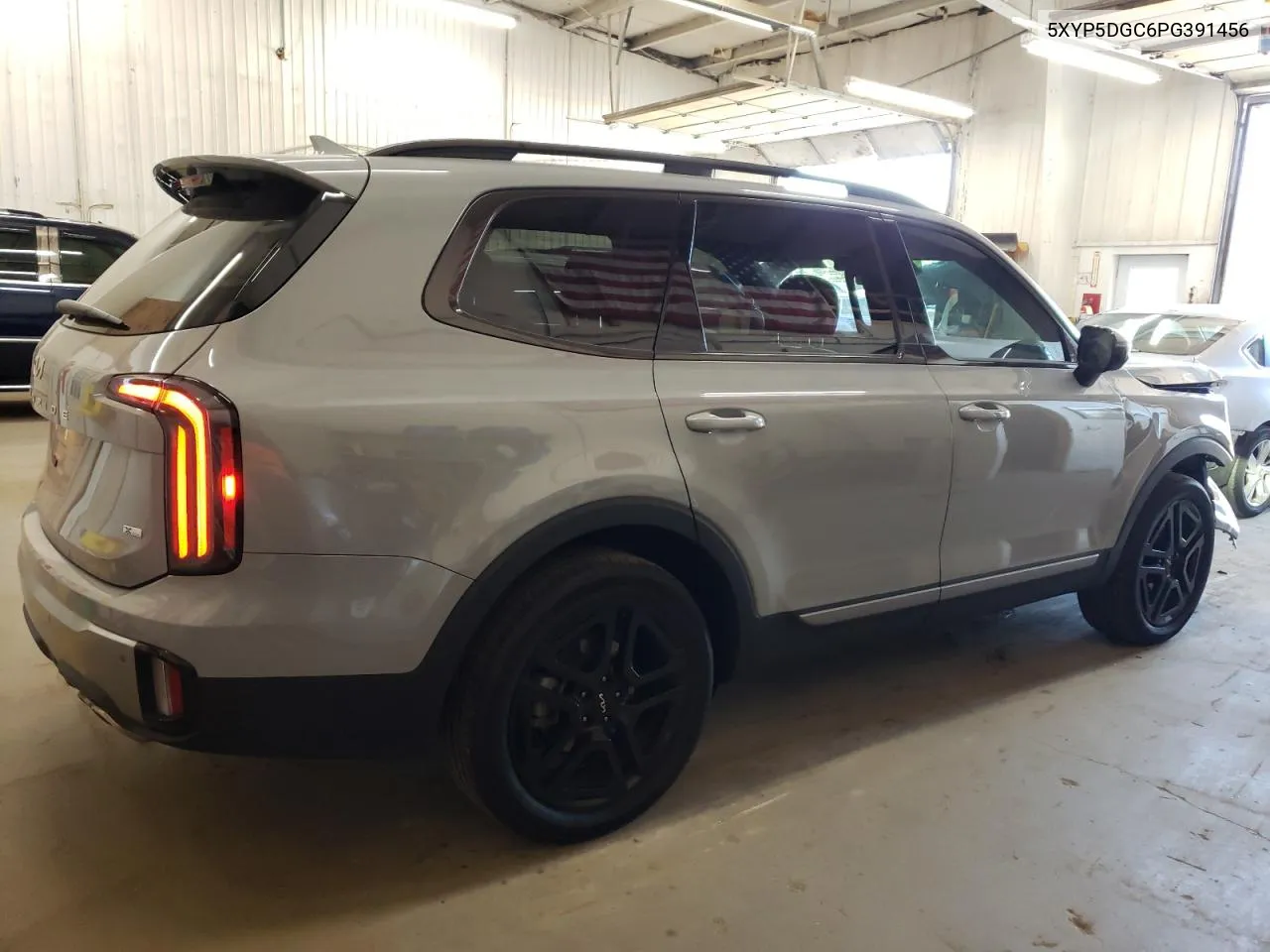 2023 Kia Telluride Sx VIN: 5XYP5DGC6PG391456 Lot: 67104804