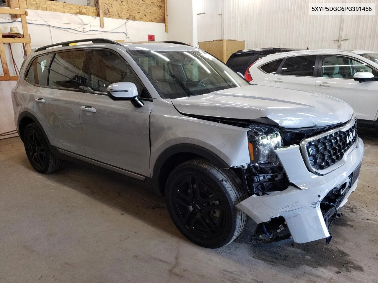 2023 Kia Telluride Sx VIN: 5XYP5DGC6PG391456 Lot: 67104804