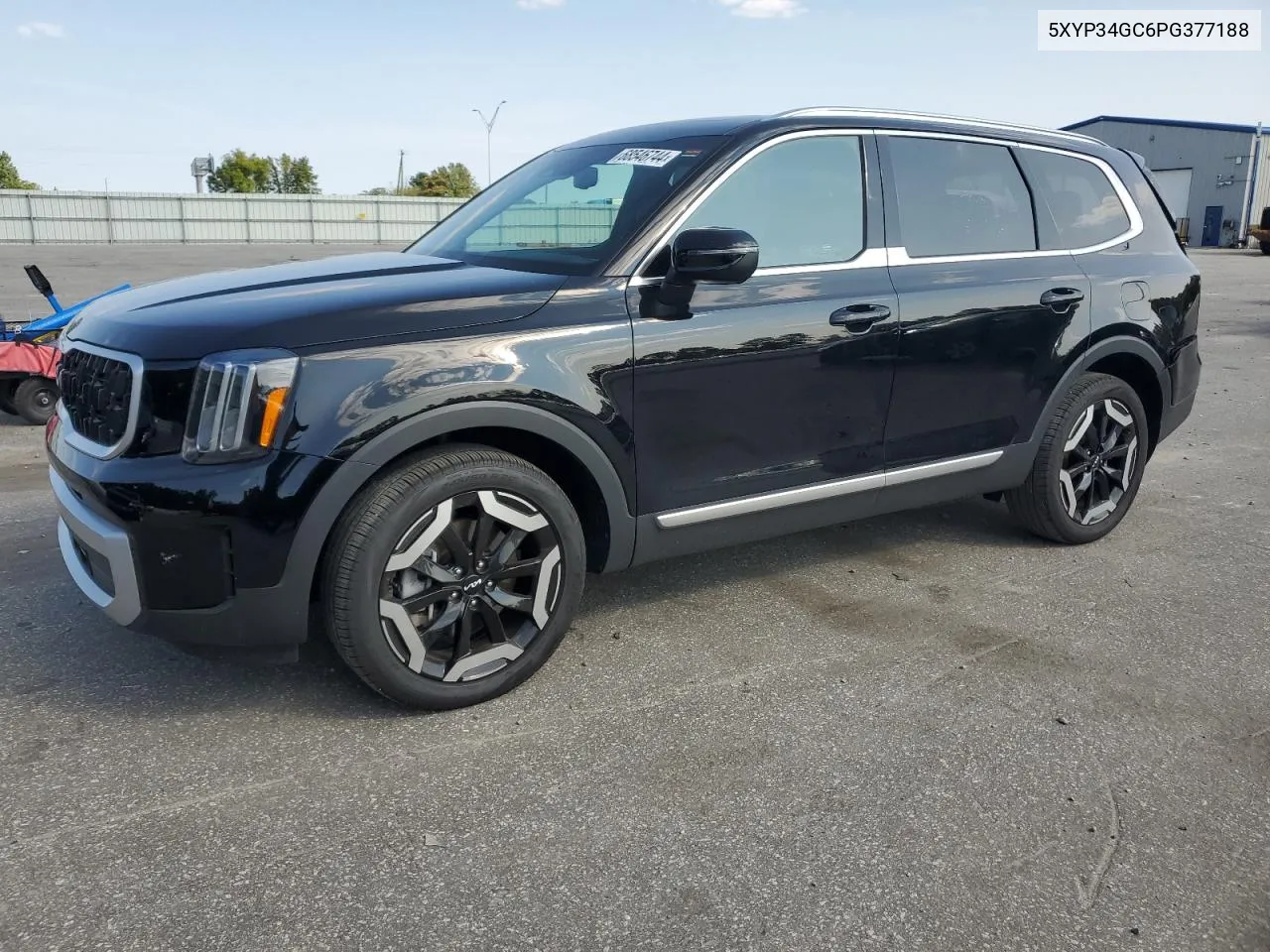 2023 Kia Telluride Ex VIN: 5XYP34GC6PG377188 Lot: 68546744