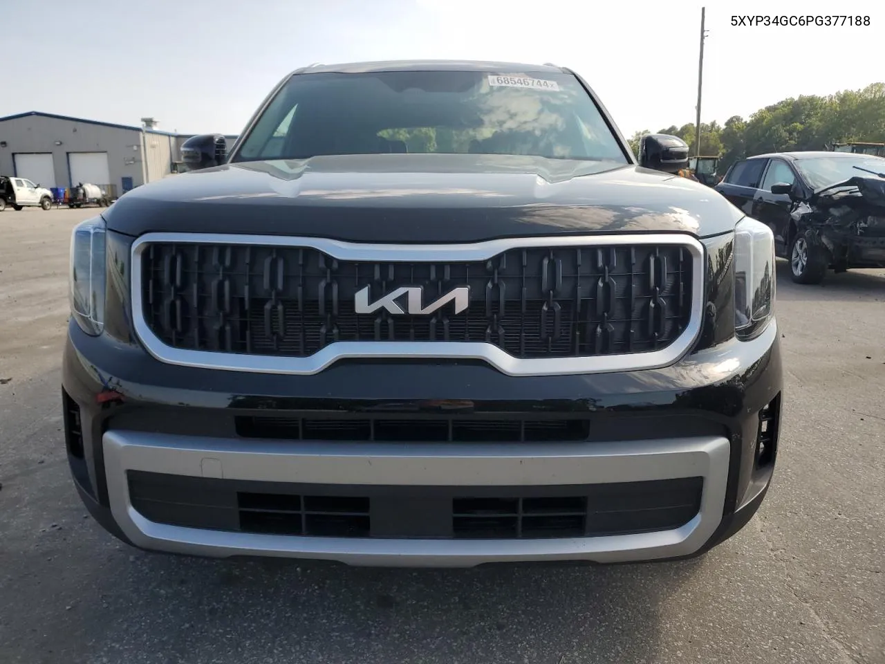 2023 Kia Telluride Ex VIN: 5XYP34GC6PG377188 Lot: 68546744