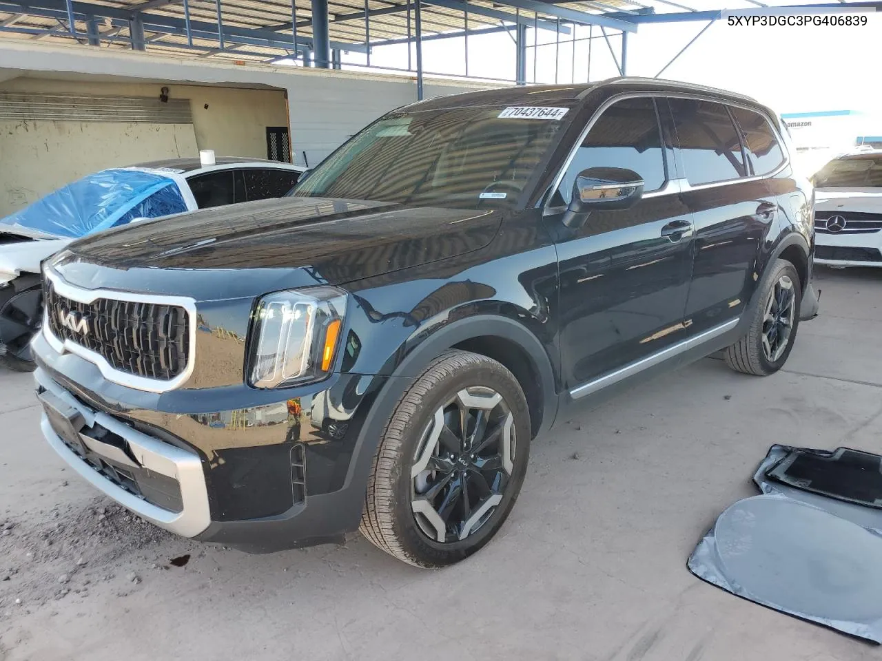 2023 Kia Telluride Ex VIN: 5XYP3DGC3PG406839 Lot: 70437644