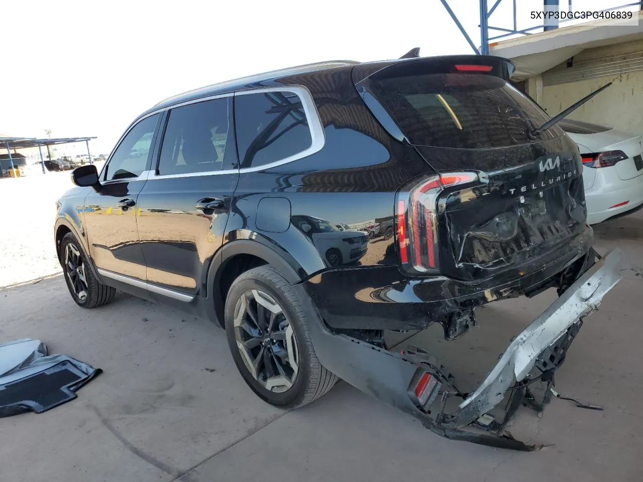 2023 Kia Telluride Ex VIN: 5XYP3DGC3PG406839 Lot: 70437644