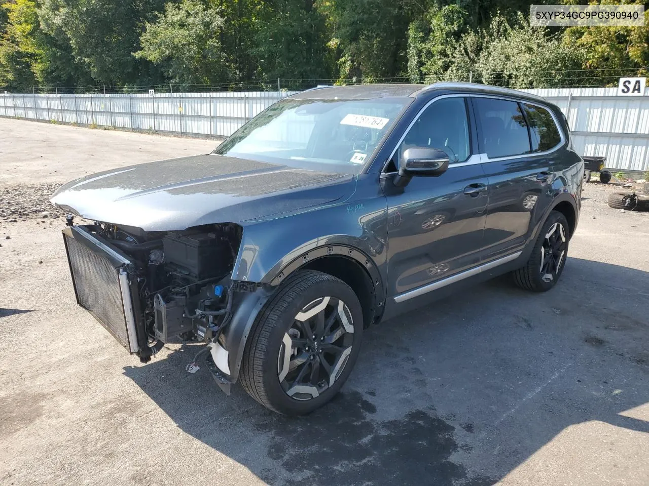 2023 Kia Telluride Ex VIN: 5XYP34GC9PG390940 Lot: 71281764