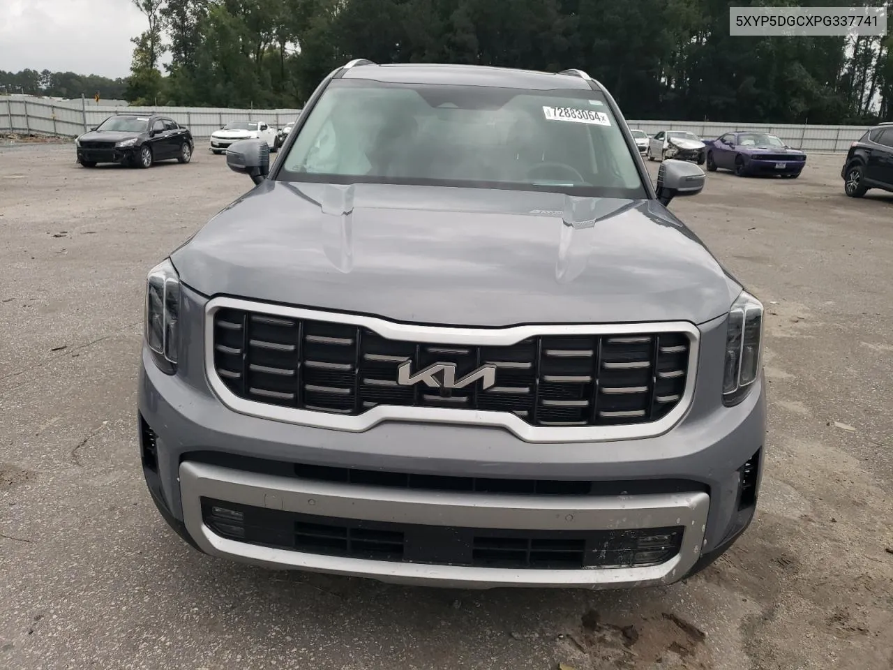 2023 Kia Telluride Sx VIN: 5XYP5DGCXPG337741 Lot: 72883064