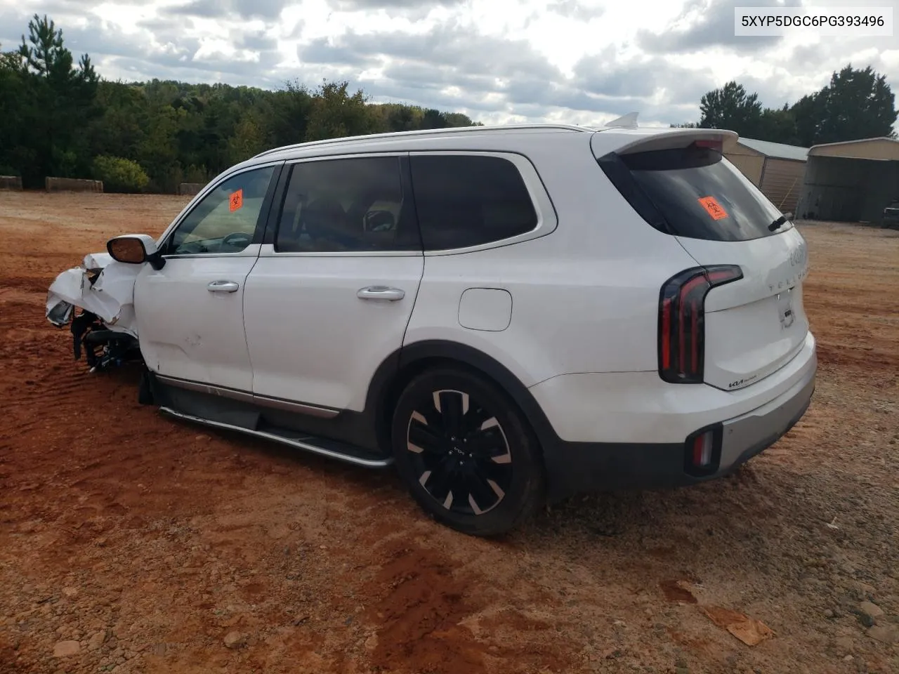 2023 Kia Telluride Sx VIN: 5XYP5DGC6PG393496 Lot: 73042394