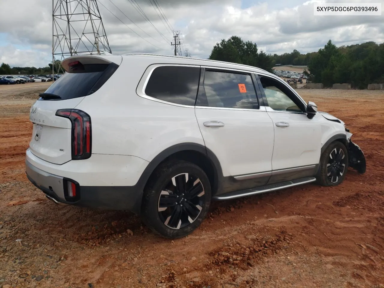 2023 Kia Telluride Sx VIN: 5XYP5DGC6PG393496 Lot: 73042394