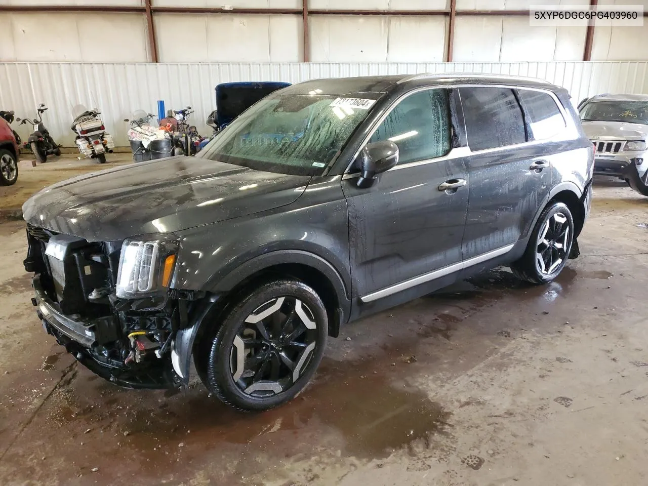 2023 Kia Telluride S VIN: 5XYP6DGC6PG403960 Lot: 73173604