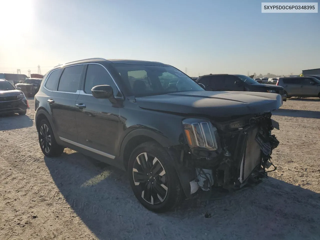 2023 Kia Telluride Sx VIN: 5XYP5DGC6PG348395 Lot: 73414174