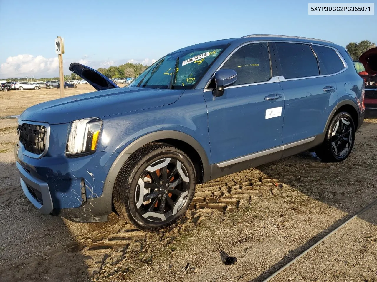 2023 Kia Telluride Ex VIN: 5XYP3DGC2PG365071 Lot: 73653274