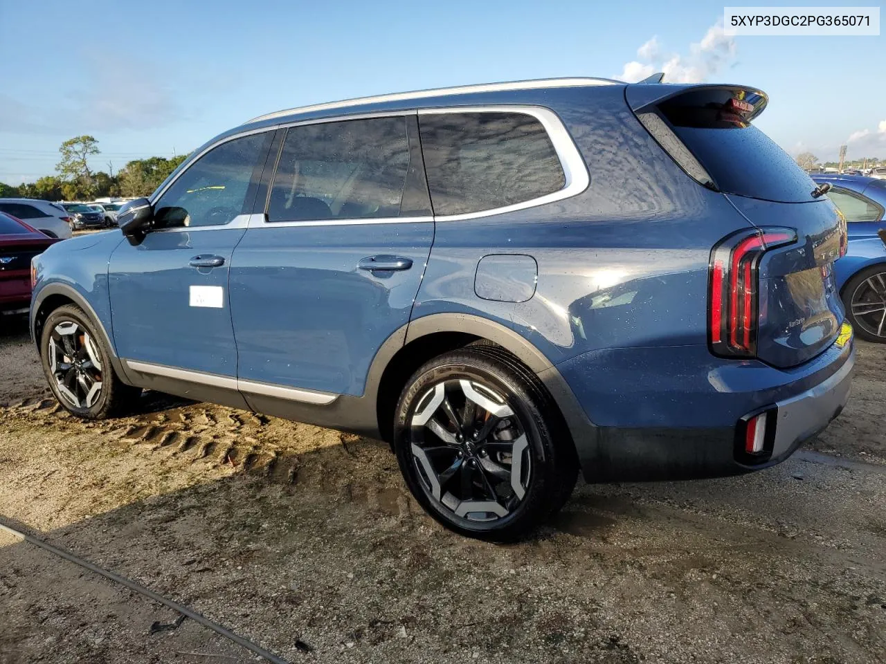 2023 Kia Telluride Ex VIN: 5XYP3DGC2PG365071 Lot: 73653274