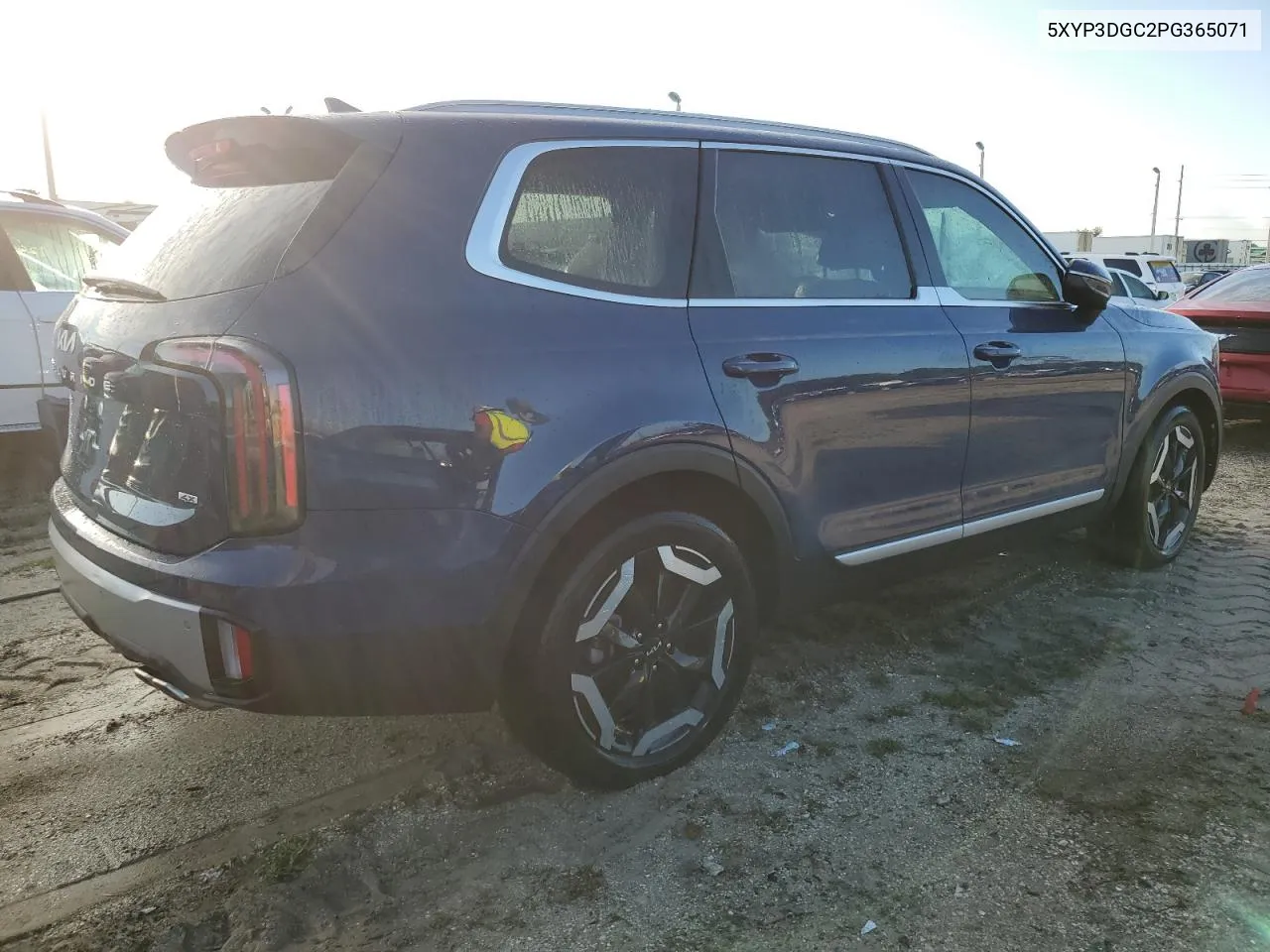 2023 Kia Telluride Ex VIN: 5XYP3DGC2PG365071 Lot: 73653274