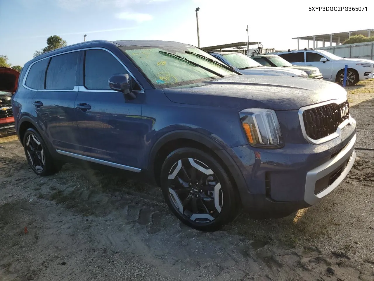 2023 Kia Telluride Ex VIN: 5XYP3DGC2PG365071 Lot: 73653274