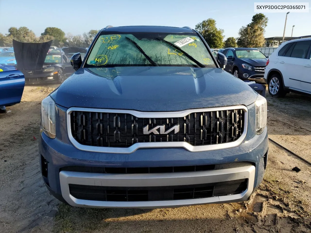 2023 Kia Telluride Ex VIN: 5XYP3DGC2PG365071 Lot: 73653274