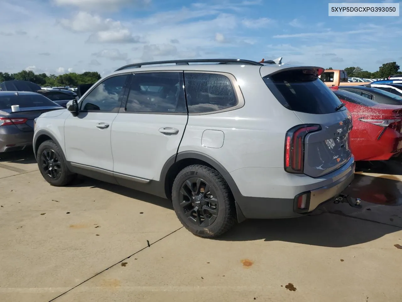 2023 Kia Telluride Sx VIN: 5XYP5DGCXPG393050 Lot: 73829744