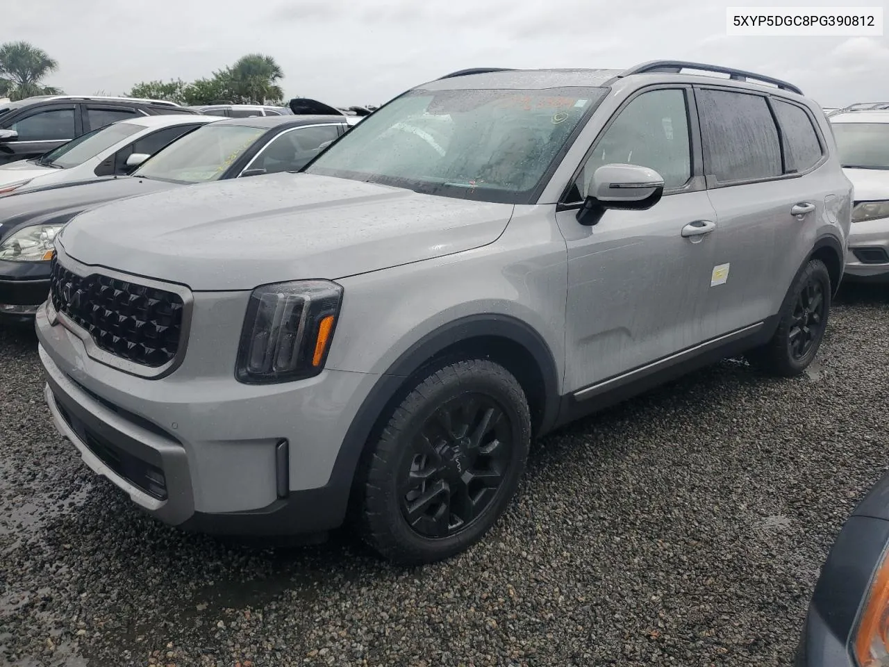 2023 Kia Telluride Sx VIN: 5XYP5DGC8PG390812 Lot: 73963384