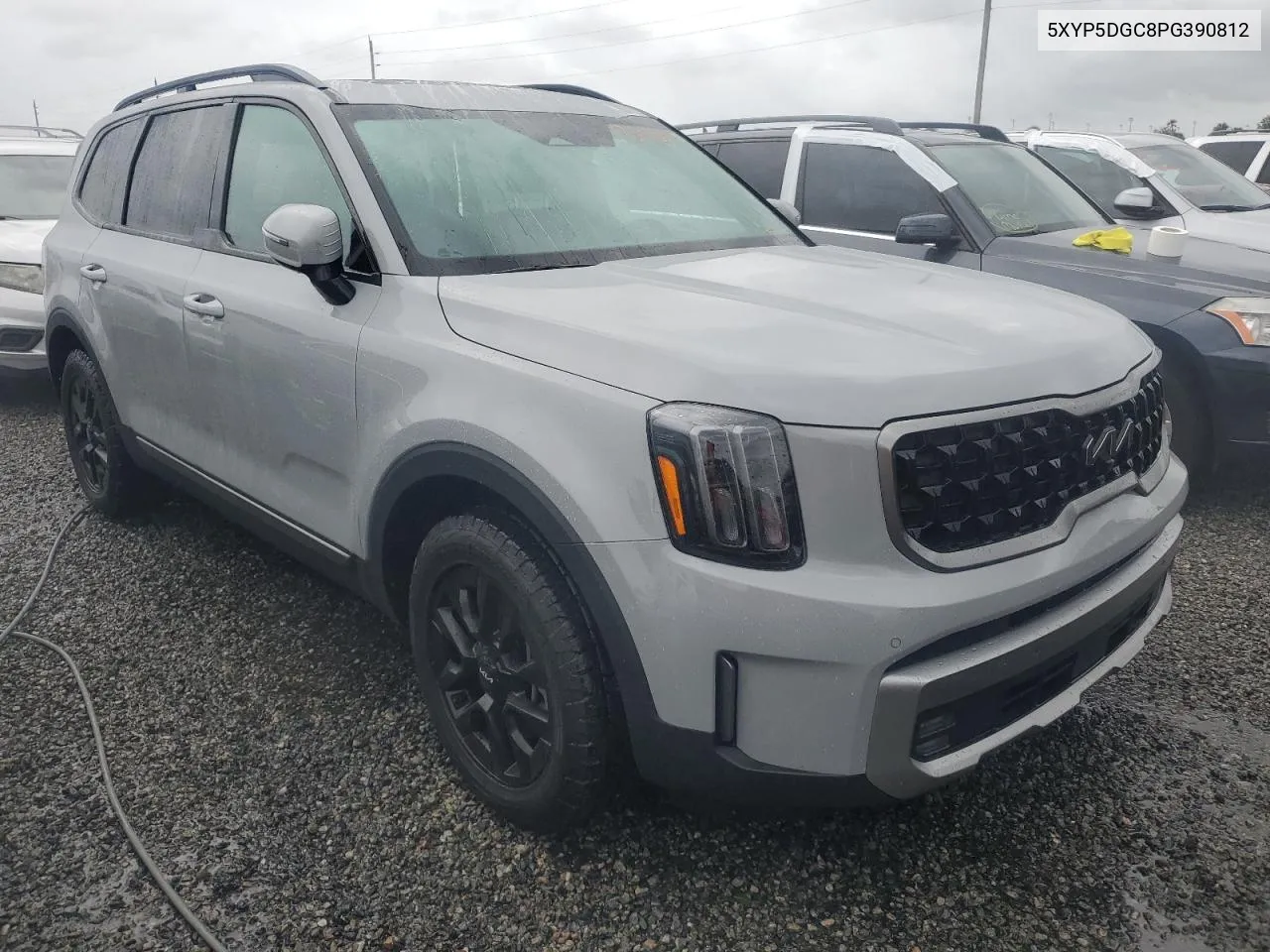 2023 Kia Telluride Sx VIN: 5XYP5DGC8PG390812 Lot: 73963384