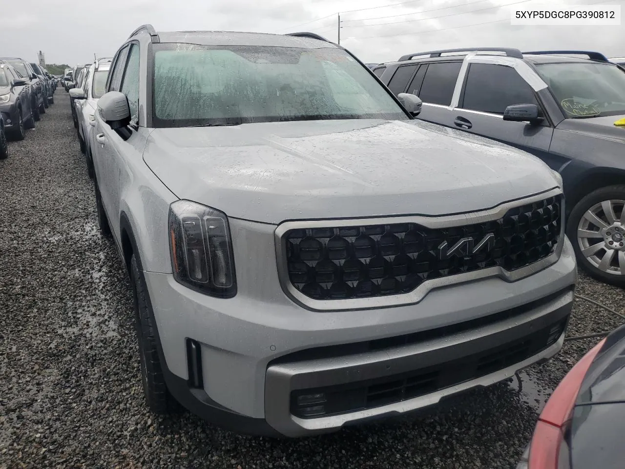 2023 Kia Telluride Sx VIN: 5XYP5DGC8PG390812 Lot: 73963384