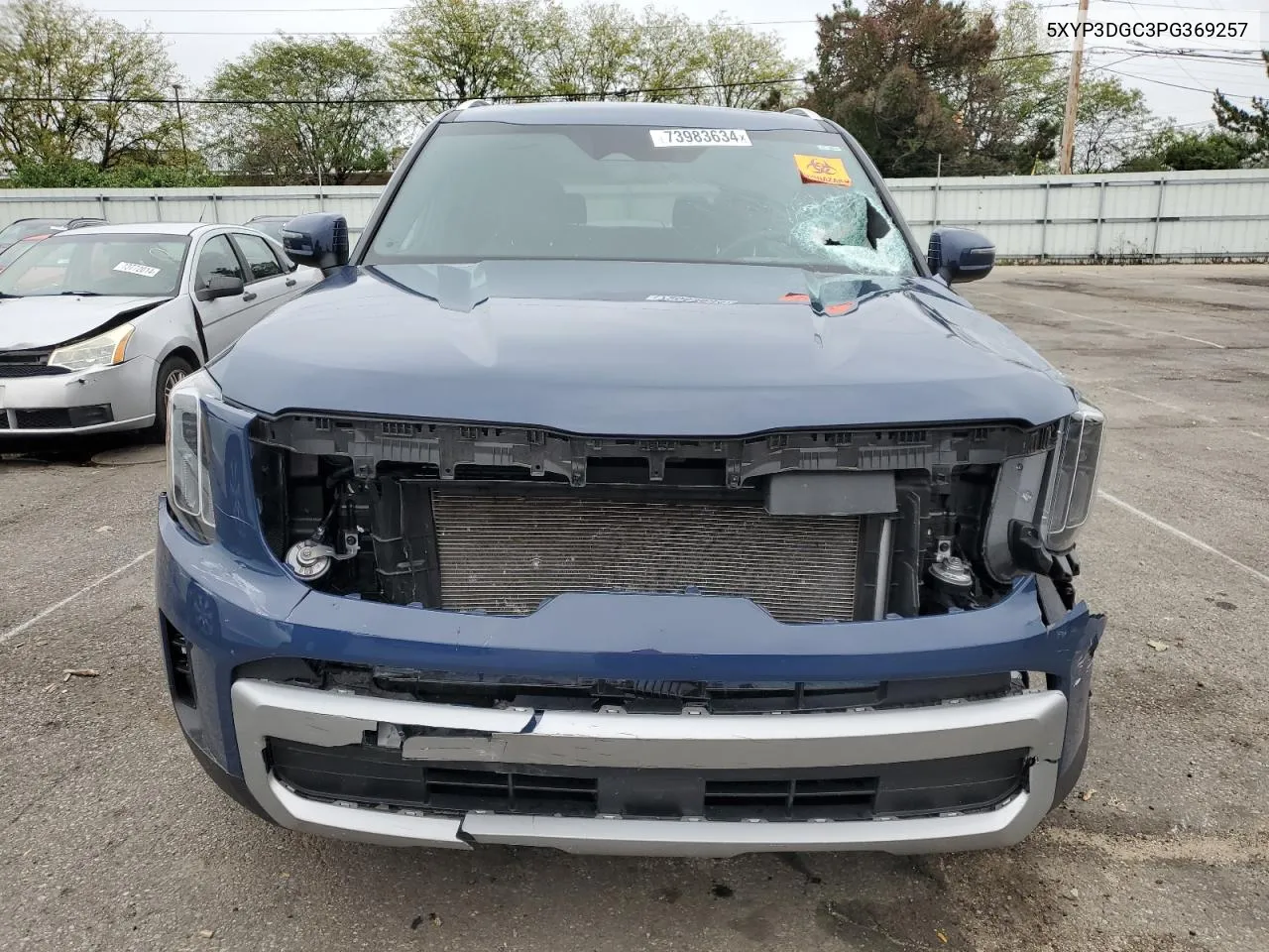 2023 Kia Telluride Ex VIN: 5XYP3DGC3PG369257 Lot: 73983634