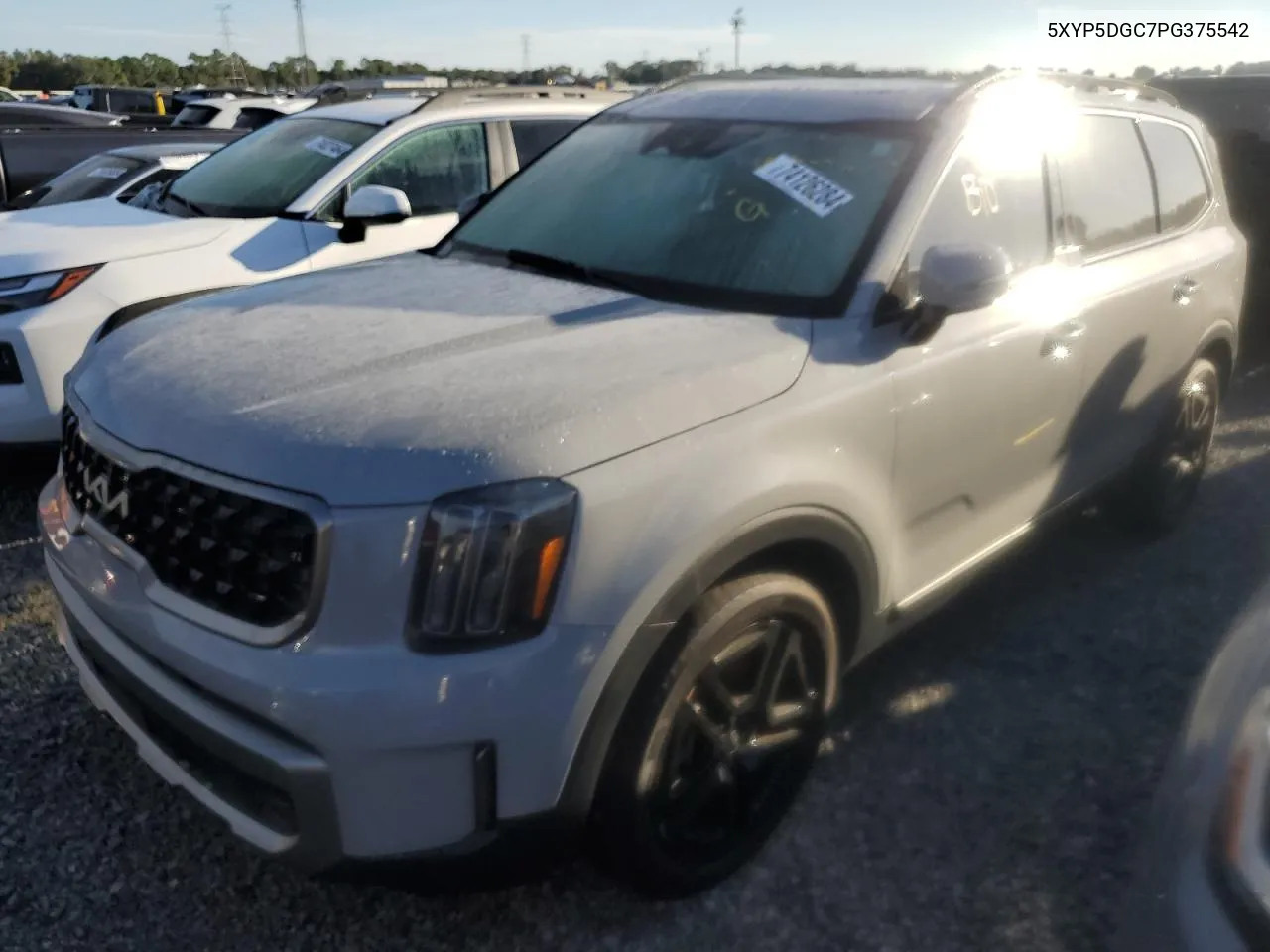 5XYP5DGC7PG375542 2023 Kia Telluride Sx