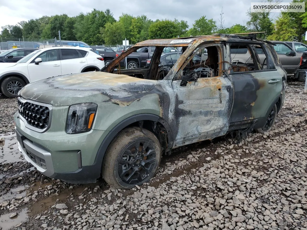 2023 Kia Telluride Sx VIN: 5XYP5DGC8PG336099 Lot: 75009394