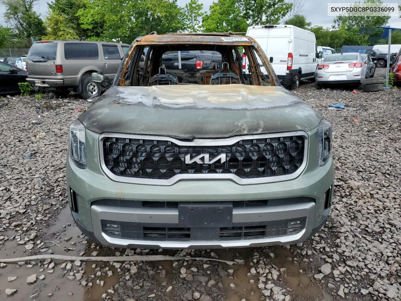 2023 Kia Telluride Sx VIN: 5XYP5DGC8PG336099 Lot: 75009394