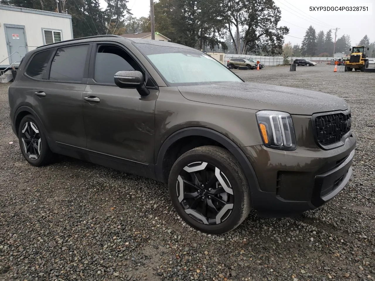 2023 Kia Telluride Ex VIN: 5XYP3DGC4PG328751 Lot: 77484524