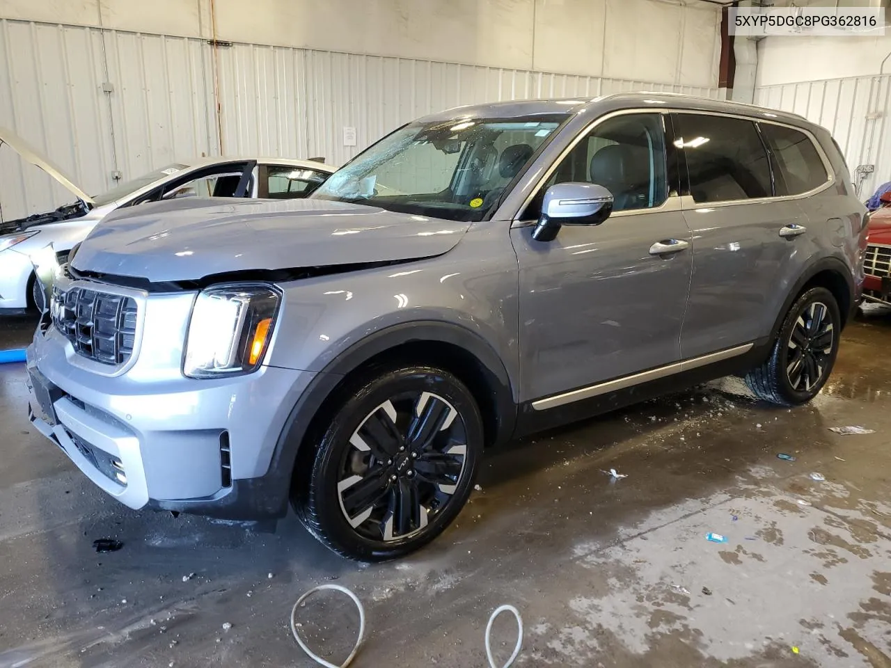 2023 Kia Telluride Sx VIN: 5XYP5DGC8PG362816 Lot: 77826164