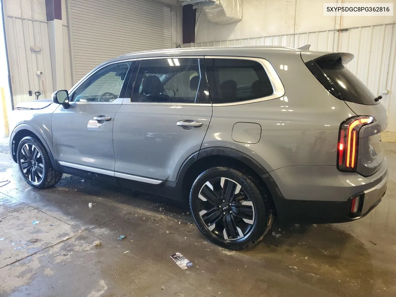 2023 Kia Telluride Sx VIN: 5XYP5DGC8PG362816 Lot: 77826164