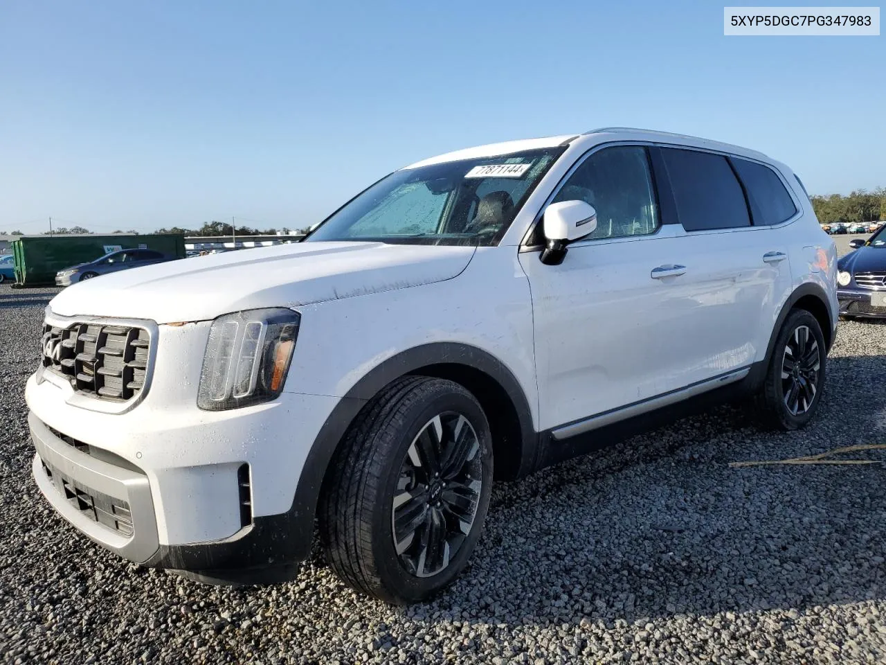 2023 Kia Telluride Sx VIN: 5XYP5DGC7PG347983 Lot: 77871144