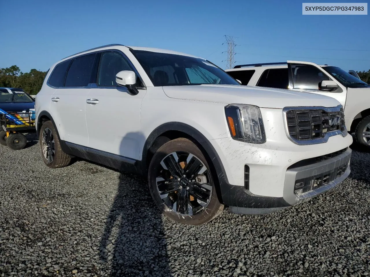 2023 Kia Telluride Sx VIN: 5XYP5DGC7PG347983 Lot: 77871144