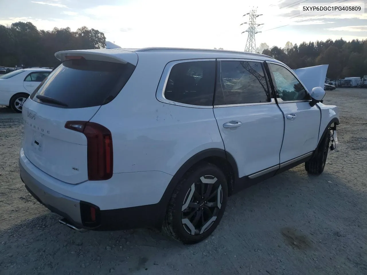 2023 Kia Telluride S VIN: 5XYP6DGC1PG405809 Lot: 78198344