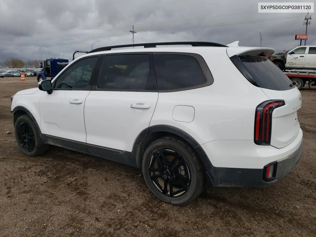 2023 Kia Telluride Sx VIN: 5XYP5DGC0PG381120 Lot: 78621224