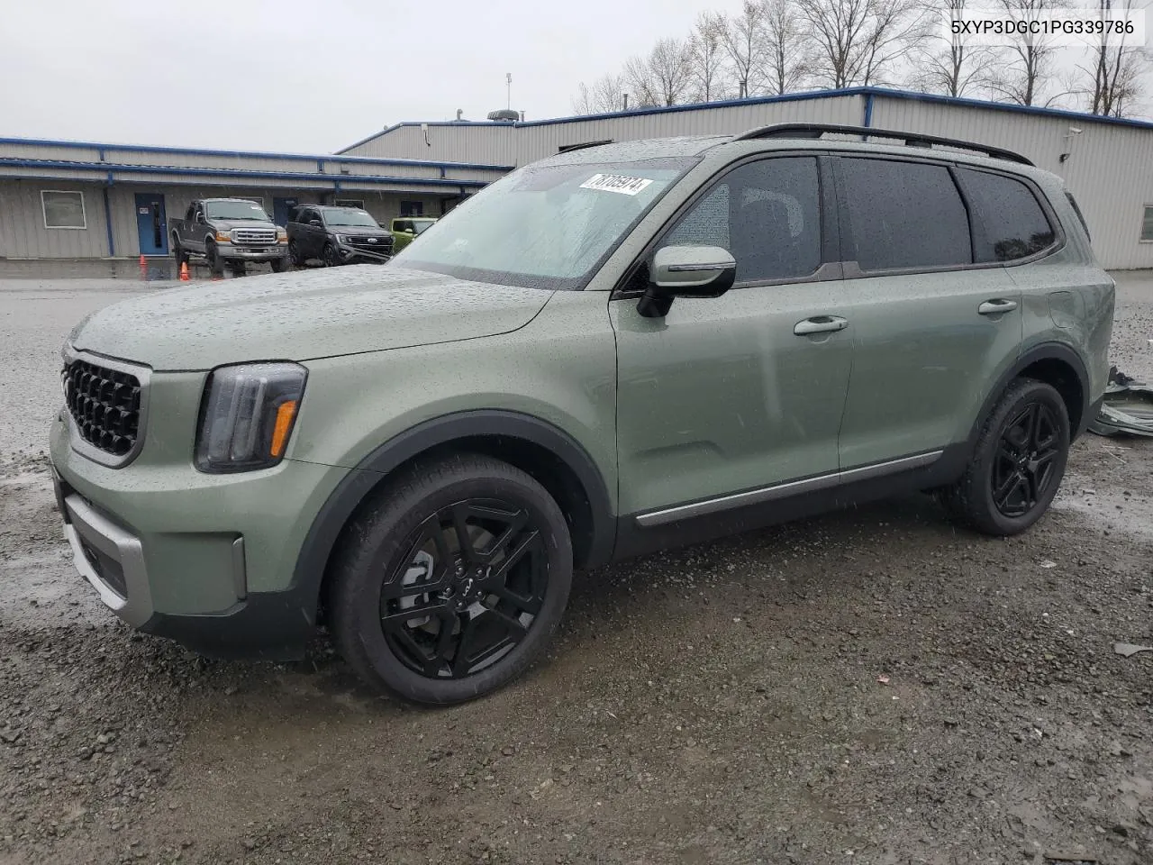 2023 Kia Telluride Ex VIN: 5XYP3DGC1PG339786 Lot: 78705974