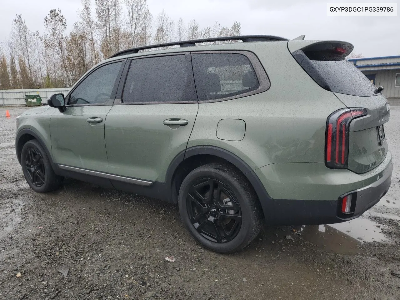 2023 Kia Telluride Ex VIN: 5XYP3DGC1PG339786 Lot: 78705974