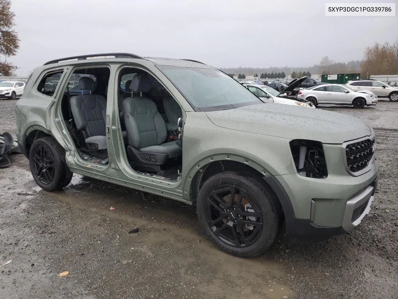 2023 Kia Telluride Ex VIN: 5XYP3DGC1PG339786 Lot: 78705974