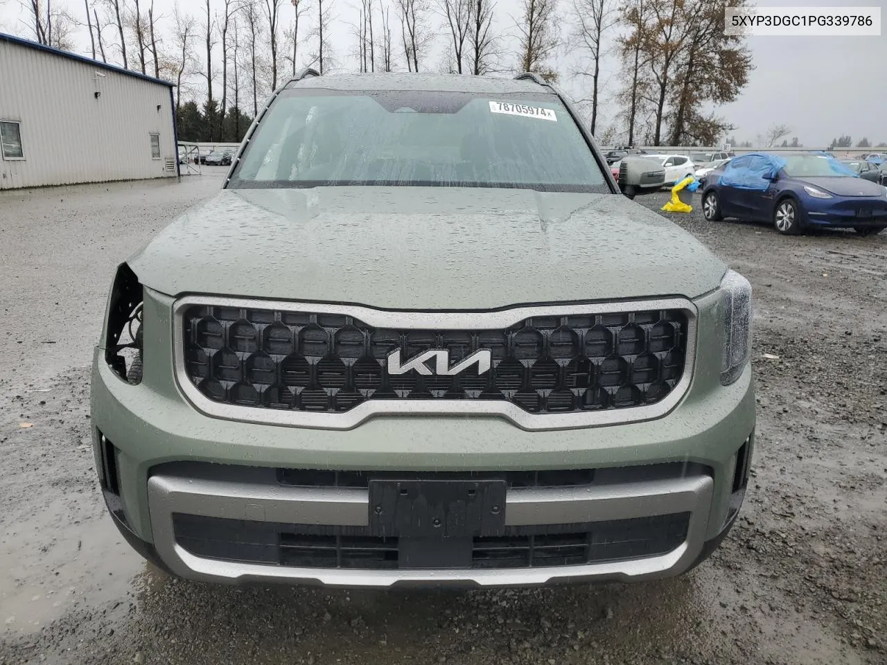 2023 Kia Telluride Ex VIN: 5XYP3DGC1PG339786 Lot: 78705974