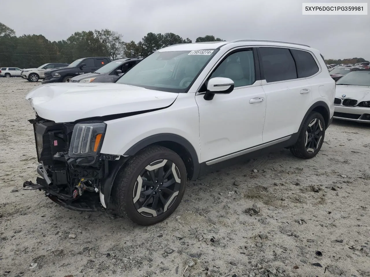 2023 Kia Telluride S VIN: 5XYP6DGC1PG359981 Lot: 79515274