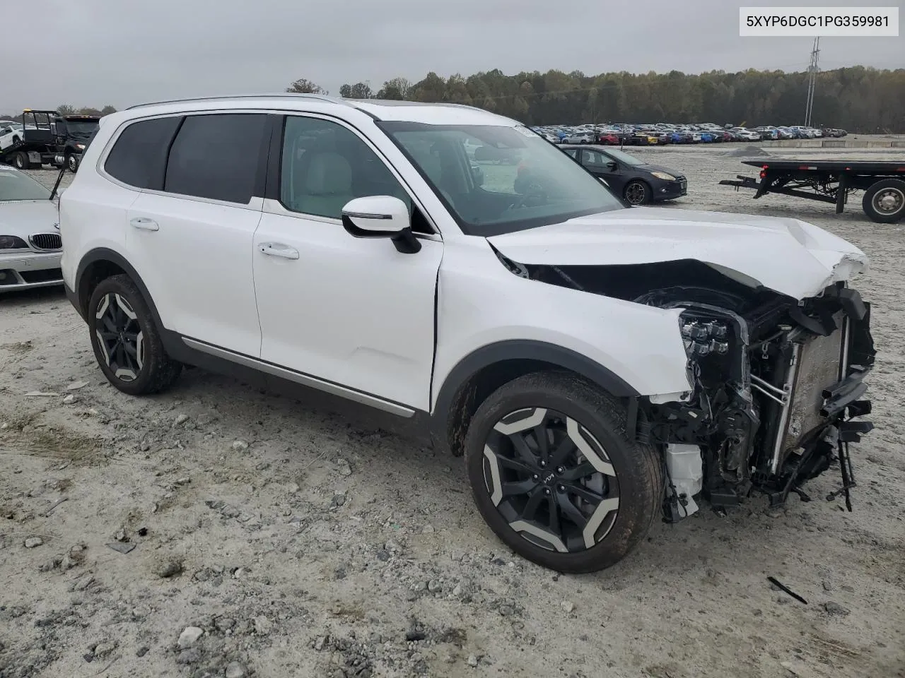 2023 Kia Telluride S VIN: 5XYP6DGC1PG359981 Lot: 79515274