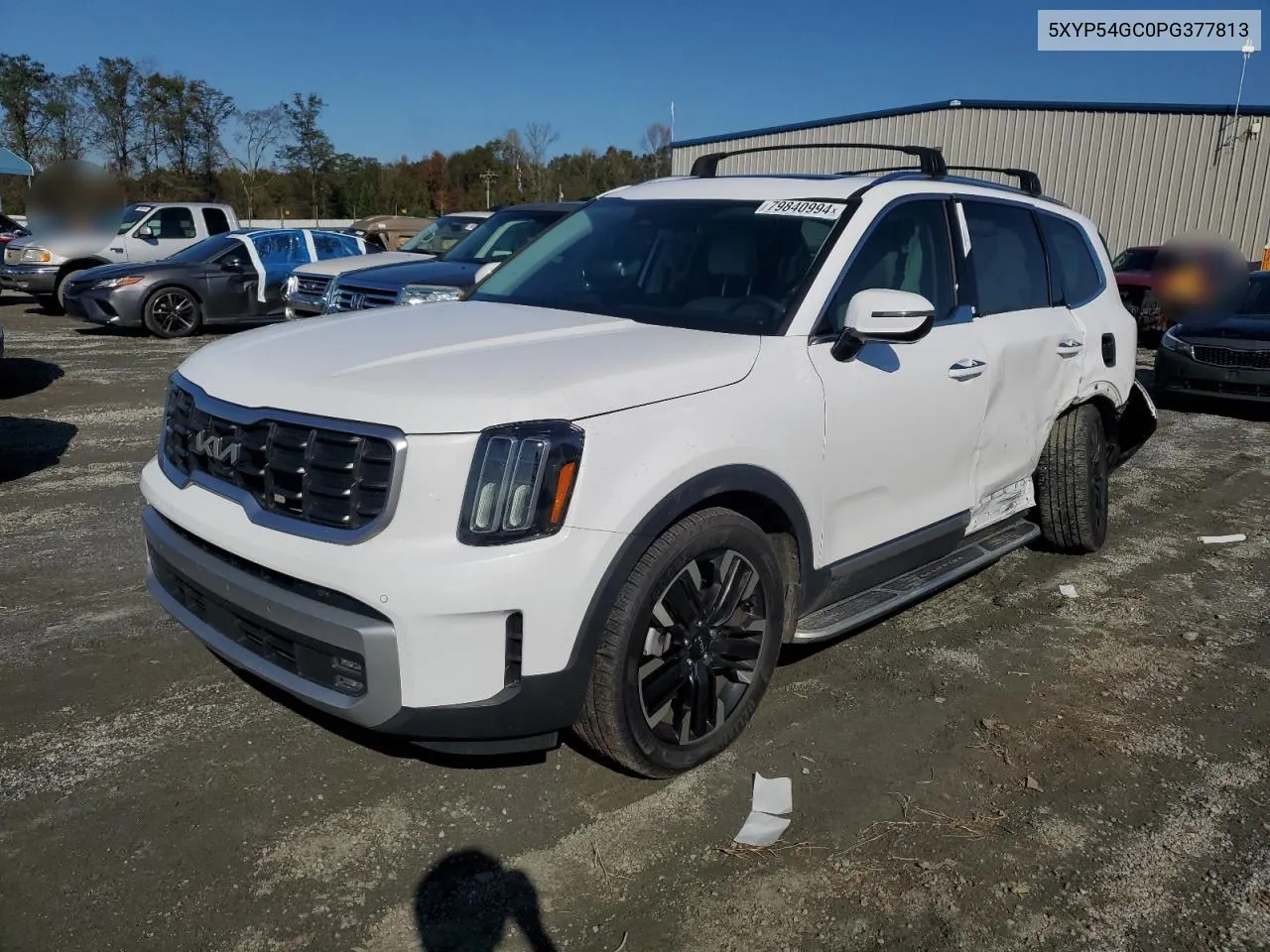 2023 Kia Telluride Sx VIN: 5XYP54GC0PG377813 Lot: 79840994