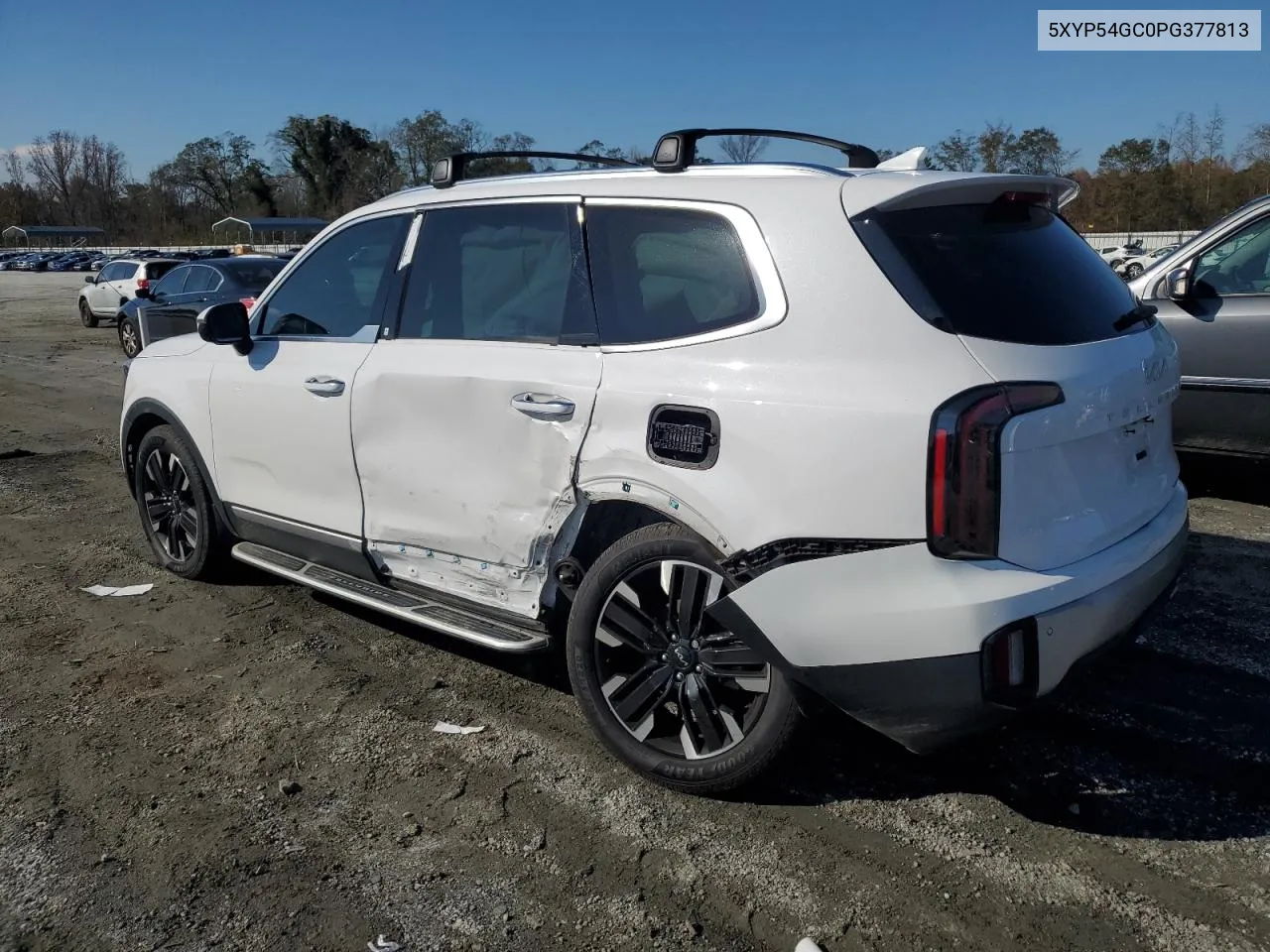 2023 Kia Telluride Sx VIN: 5XYP54GC0PG377813 Lot: 79840994