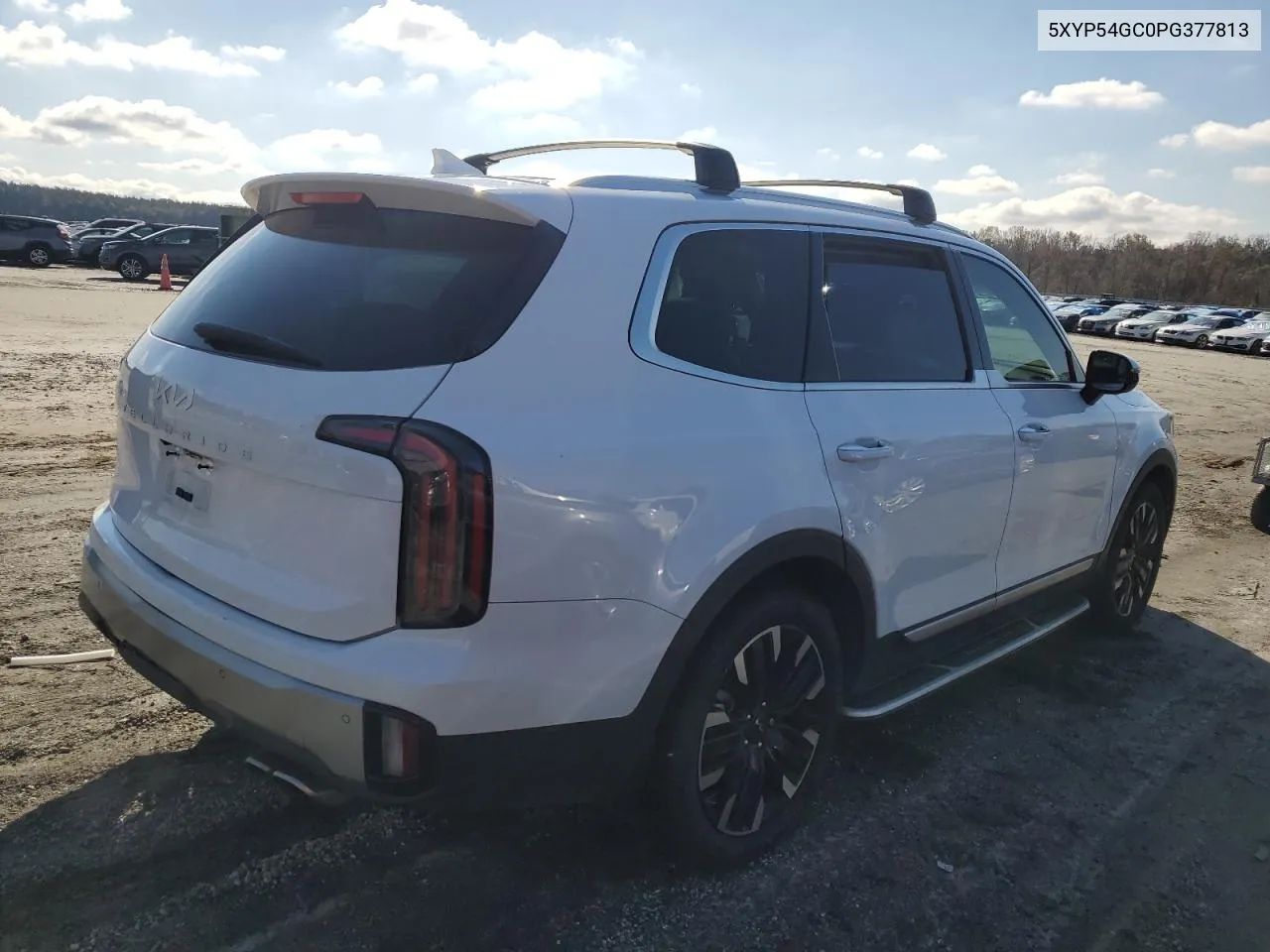 2023 Kia Telluride Sx VIN: 5XYP54GC0PG377813 Lot: 79840994