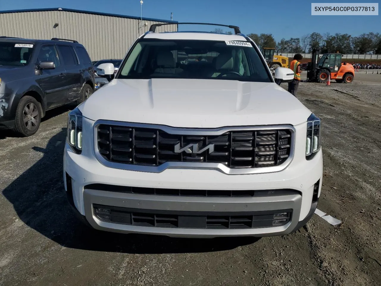 2023 Kia Telluride Sx VIN: 5XYP54GC0PG377813 Lot: 79840994